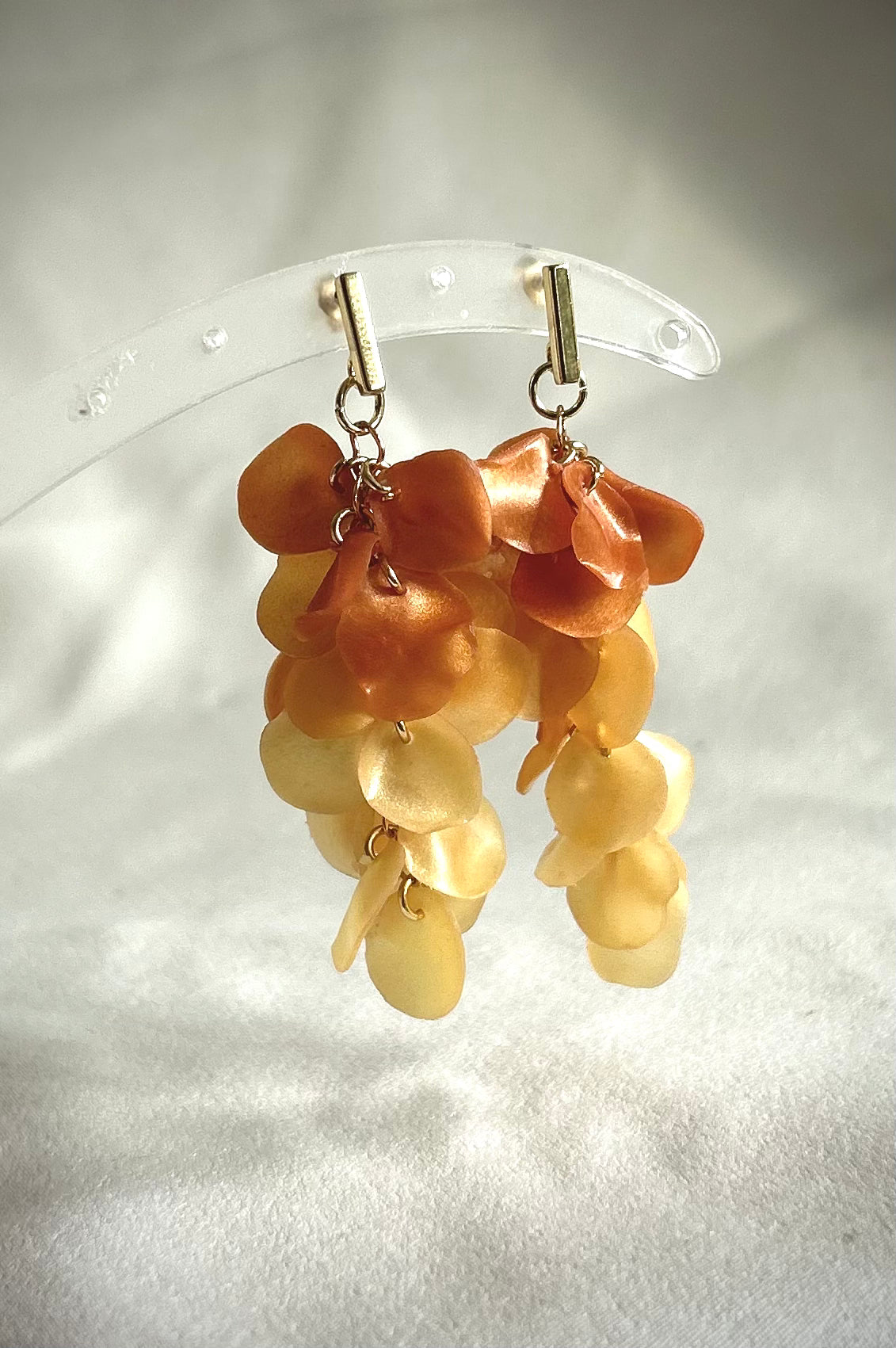 Fading petals orange